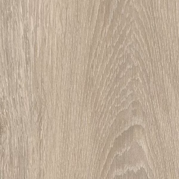 English Wood Galloway