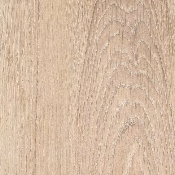 English Wood Snowdonia