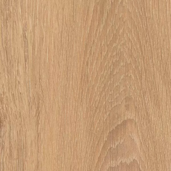 English Wood Dean - Image 3