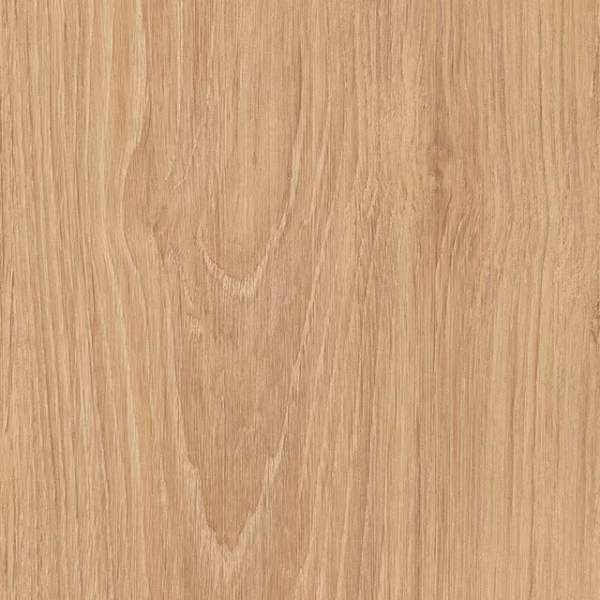 English Wood Dean - Image 4