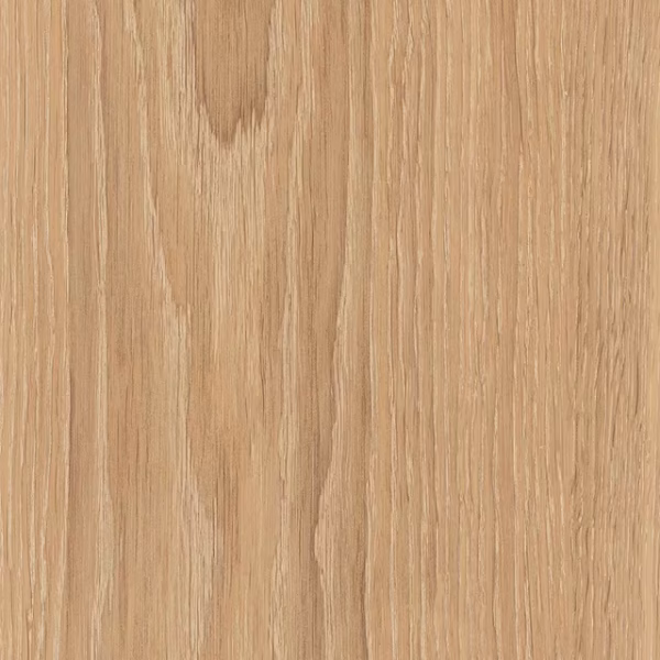 English Wood Dean - Image 2