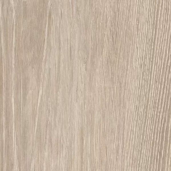 English Wood Galloway - Image 3