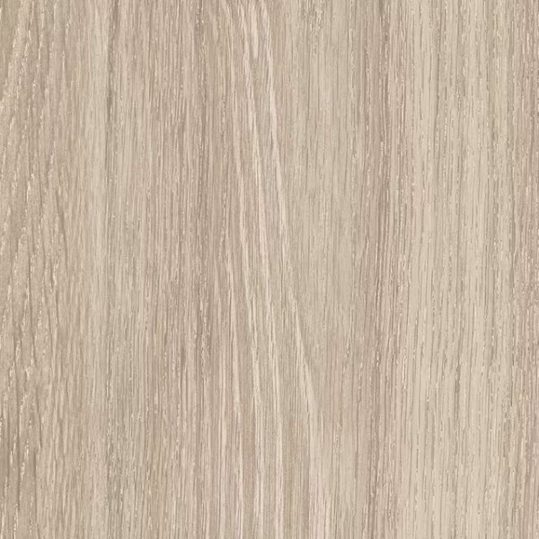 English Wood Galloway - Image 2