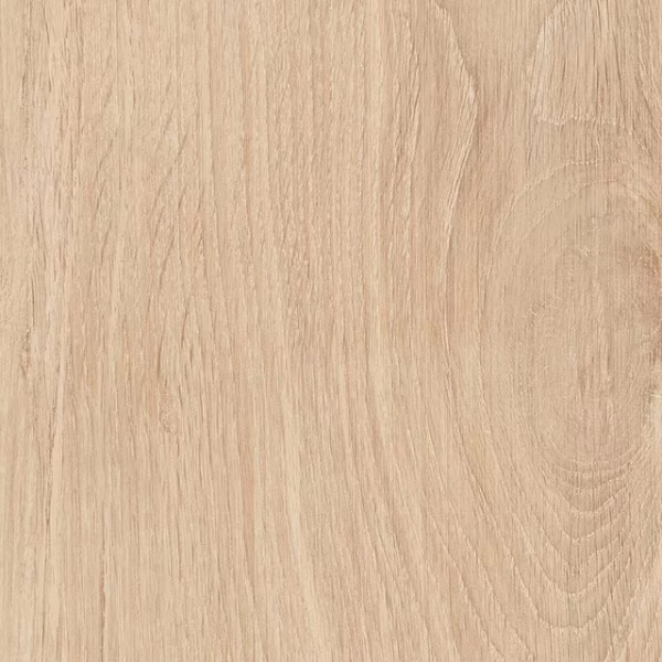 English Wood Highland - Image 3