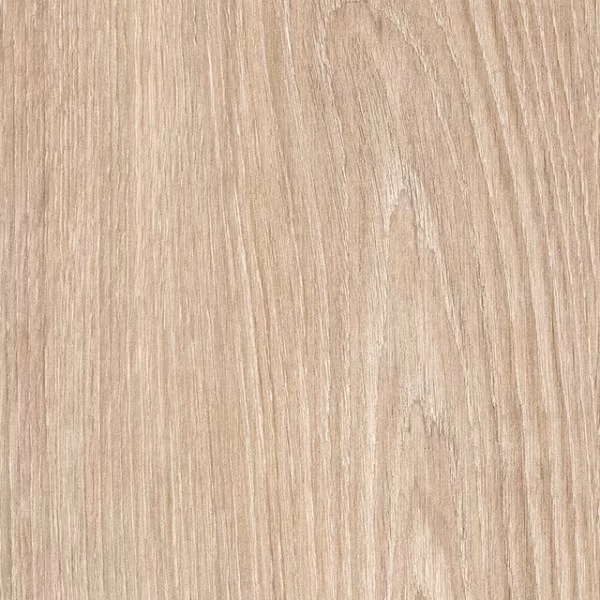 English Wood Snowdonia - Image 3
