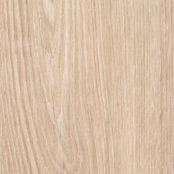 English Wood Snowdonia - Image 4